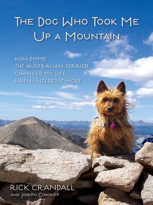 cover image of The Dog Who Took Me Up a Mountain